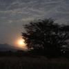 sylele